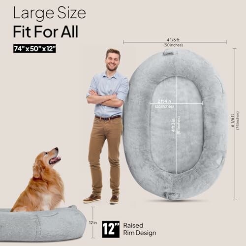 Large dog bed with size comparison to a man and a golden retriever.