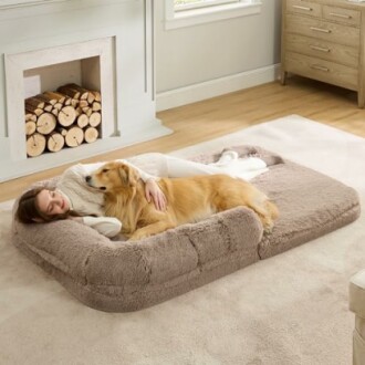 Bedsure Foldable Human Dog Bed